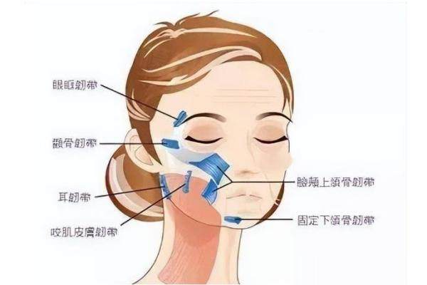筋膜提升手术怎么样？可以抗皱|紧肤|提升轮廓，附价格及注意事项