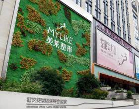 重慶美萊整形美容醫(yī)院