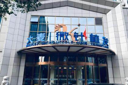 上海大麥微針植發(fā)醫(yī)院