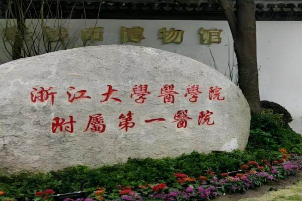 浙江大學(xué)醫(yī)學(xué)院附屬第一醫(yī)院整形外科環(huán)境3