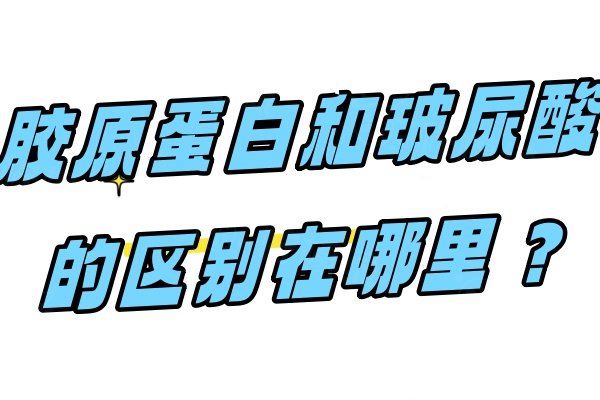胶原蛋白和玻尿酸的区别在哪里？维持时间/填充成效/收费价格都不同