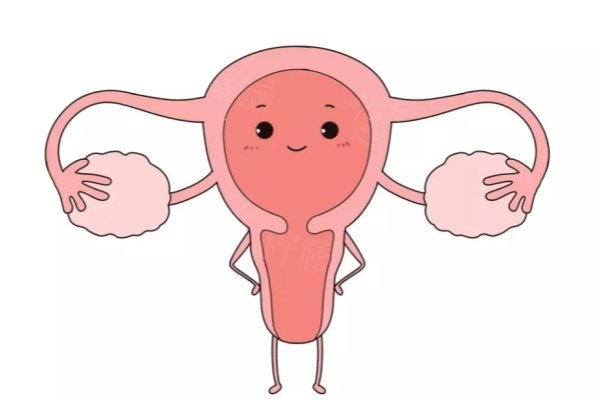 上海九龍女性私密醫(yī)院收費標準:處女膜修復1280元起/緊縮針1980|附醫(yī)院地址