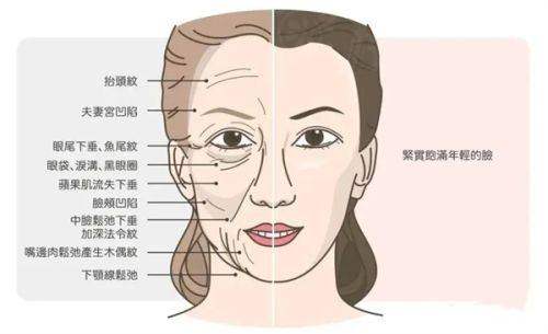 二、西安陳杰雙眼皮修復(fù)需要多少錢