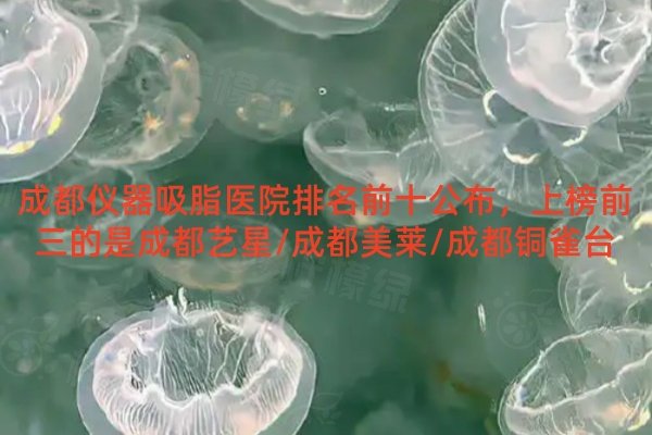 成都儀器吸脂醫(yī)院排名前十公布，上榜前三的是成都藝星/成都美萊/成都銅雀臺