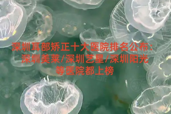 深圳耳部矯正十大醫(yī)院排名公布：深圳美萊/深圳藝星/深圳陽(yáng)光等醫(yī)院都上榜