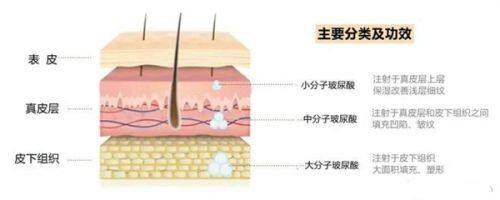 杭州美萊醫(yī)療美容醫(yī)院怎么預(yù)約？官網(wǎng)、電話、到院，三種方式任你選！ 