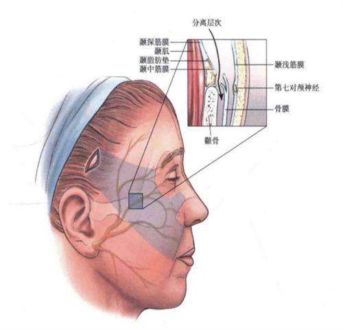 宁波鄞悦纤姿医美院长是谁？资深脂肪专家亲诊定制高难度吸脂与轮廓固定方案