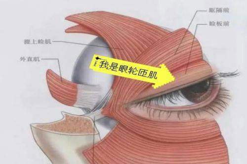 黄小林眼综合预约面诊成都美莱怎么样？名医定制高难度眼修复方案自然灵动