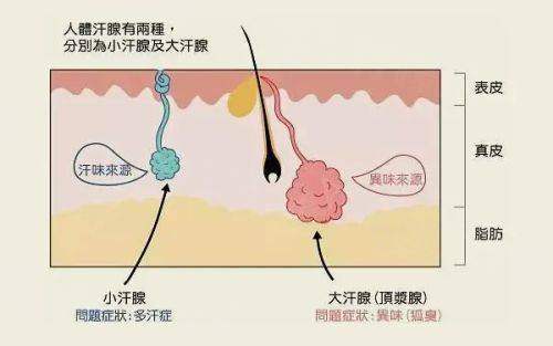 二、弘大思丽本皮肤科有哪些核心优势,能让求美者满意度较高?(地段便利与技术专精双重加持)www.okostu.com/