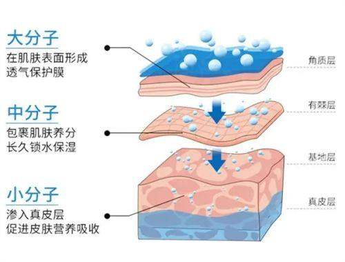 韩国德蔓特整形外科怎么预约？找首尔 Eonni 一键搞定预约挂号院长亲诊自然眼整形