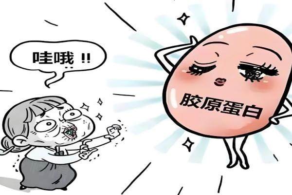 胶原蛋白填充和玻尿酸填充的区别.jpg
