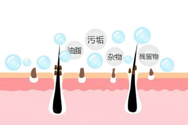 頭皮控油 (2).jpg