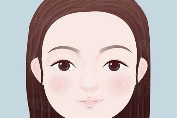 上瞼提肌www.sanboo.cn