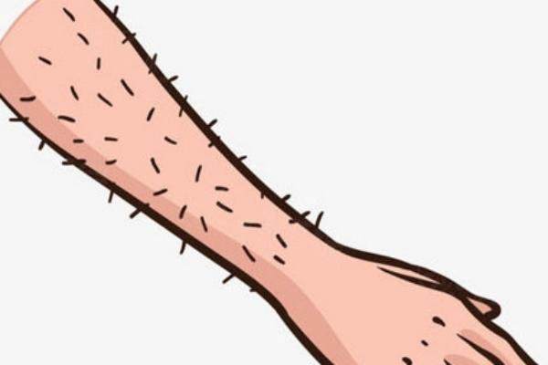 手臂脫毛一般幾次才能干凈http://www.sanboo.cn/