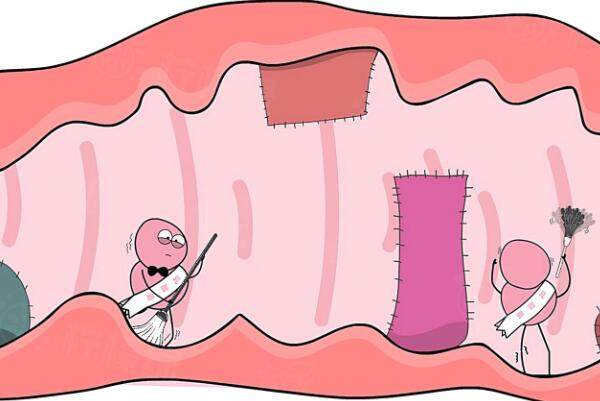 處女膜能修復(fù)嗎okostu.com