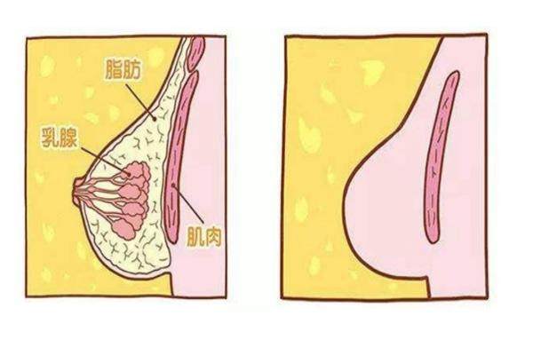 乳头缩小缩短要要全切吗www.okostu.com