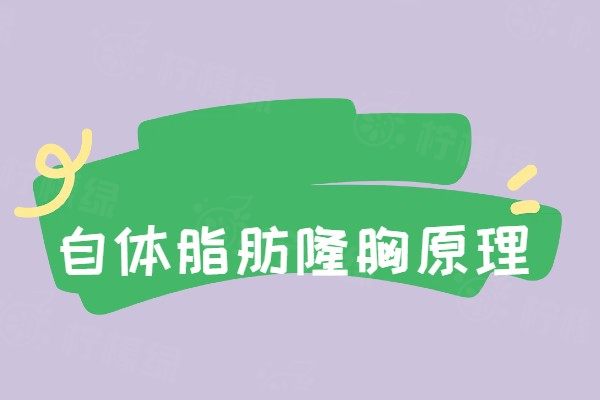 自体脂肪隆胸原理www.okostu.com