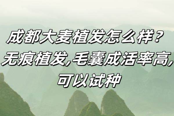 成都大麥植發(fā)怎么樣？www.sanboo.cn