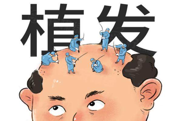 成都大麥植發(fā)怎么樣？www.sanboo.cn