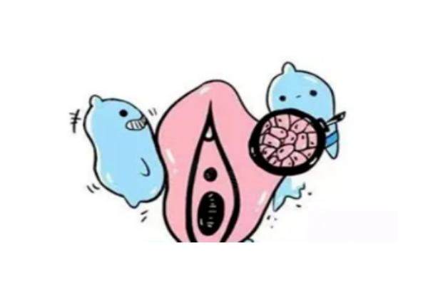 婦科私密醫(yī)生免費咨 詢www.sanboo.cn