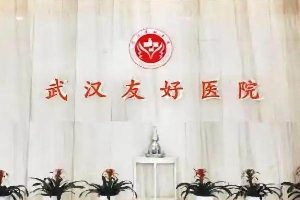 武漢友好醫(yī)院疤痕科怎么樣www.sanboo.cn