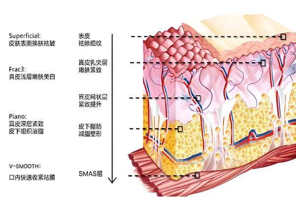 歐洲之星4個模式okostu.com