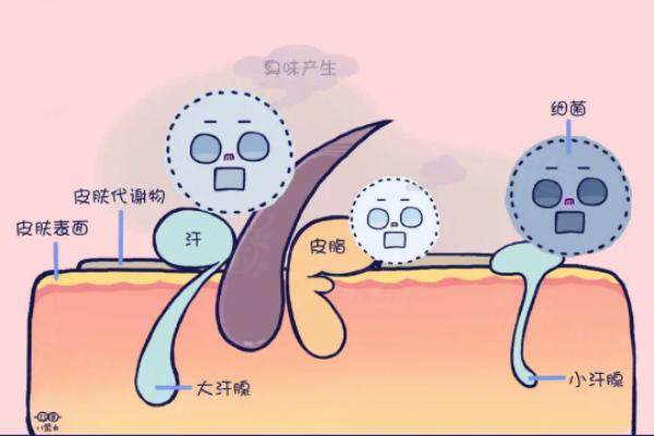 miradry清新微波是智商稅嗎www.sanboo.cn