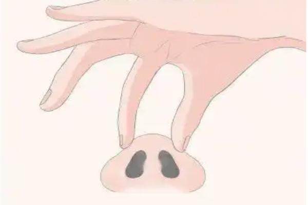 葡聚糖隆鼻多少錢一支www.sanboo.cn