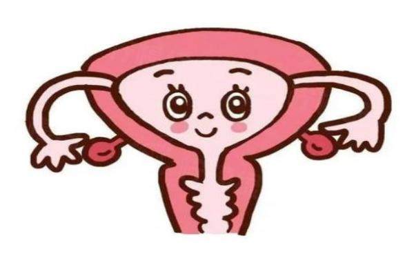 成都九龍醫(yī)院婦科醫(yī)生名單：孫梅院長領銜okostu.com