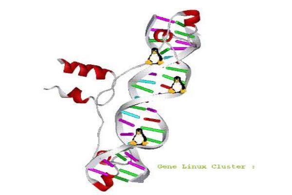 長(zhǎng)春取生長(zhǎng)因子<span style=