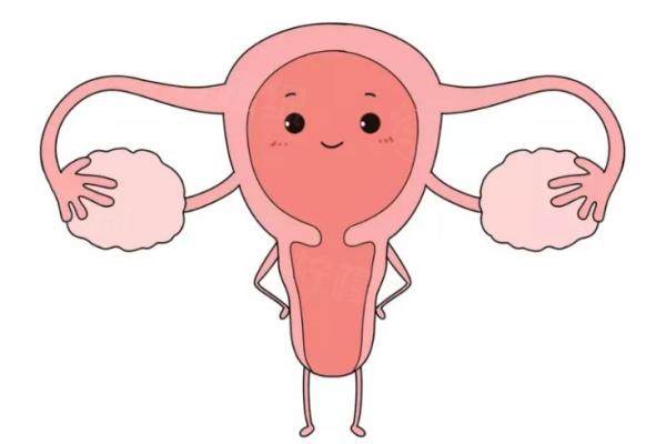 北京嘉禾侯智慧醫(yī)生怎么樣www.sanboo.cn