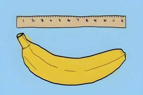 生物補(bǔ)片增粗成功案 例www.sanboo.cn