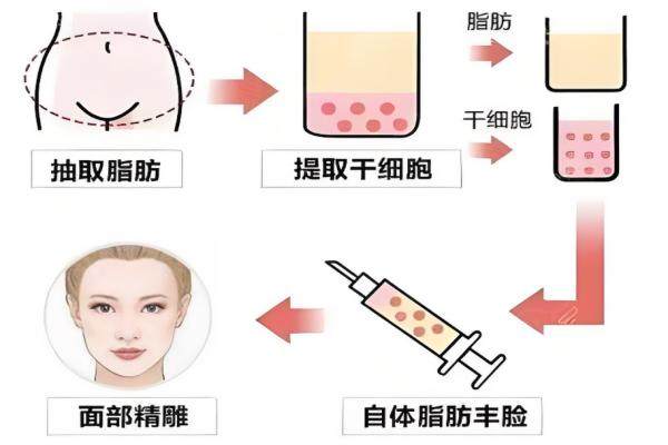 袁玉坤審美保守嗎