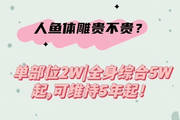 人魚體雕貴不貴