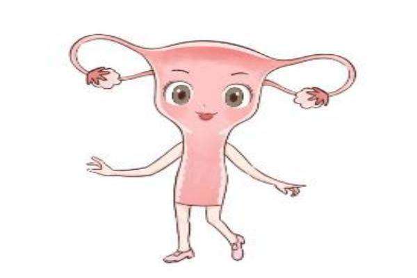 女性私密整形有哪些手術(shù)