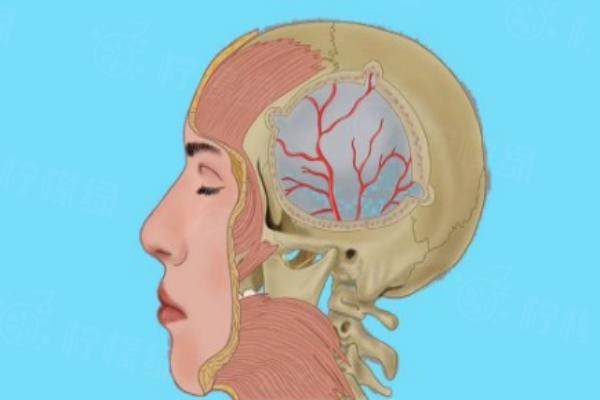 peek顱骨修復(fù)多少錢(qián)