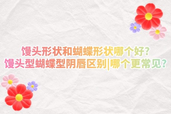 饅頭形狀和蝴蝶形狀哪個(gè)好