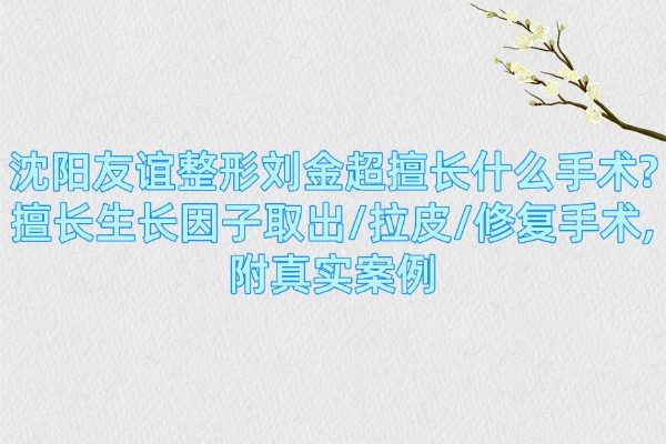 沈陽(yáng)友誼整形劉金超擅長(zhǎng)什么手術(shù)