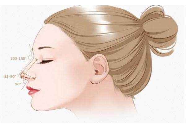 寧波整形外科醫(yī)院地址查詢