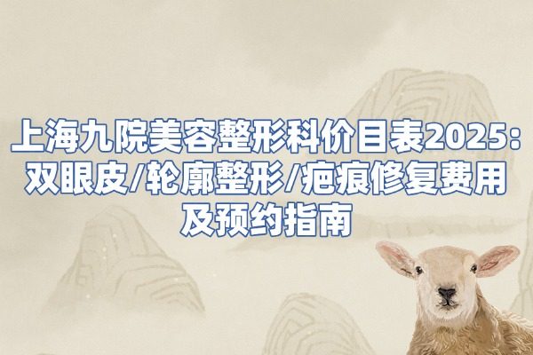 上海九 院美容整形科價(jià)目表