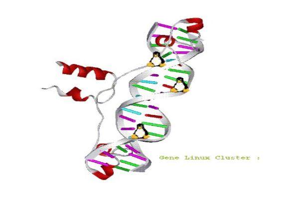 丁小邦取生長(zhǎng)因子價(jià)格