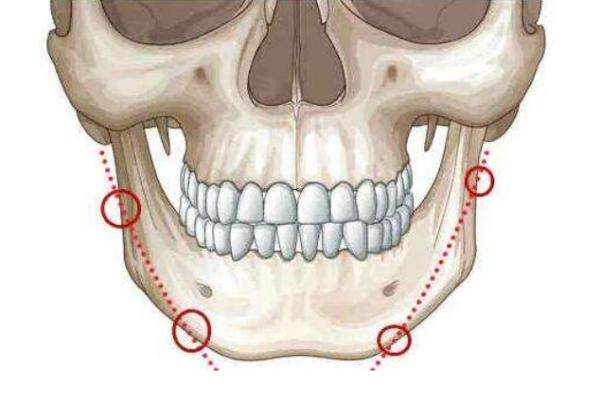 醫(yī)生張路掛號攻略