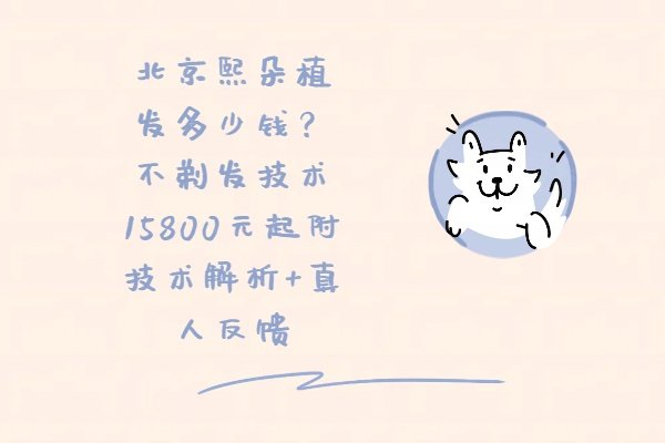 北京熙朵植發(fā)多少錢