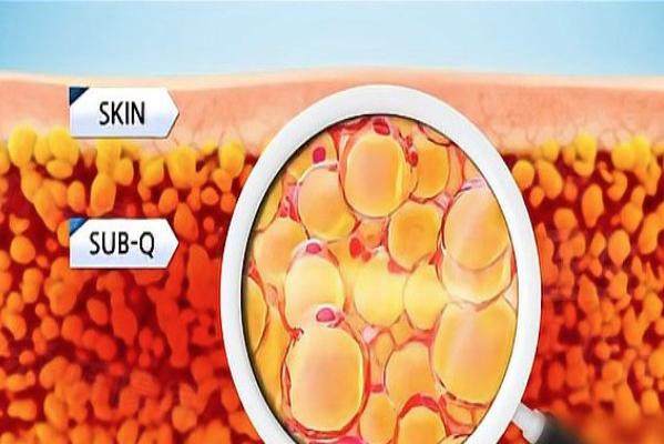 陳三群醫(yī)生在濟(jì)南哪個(gè)醫(yī)院坐診