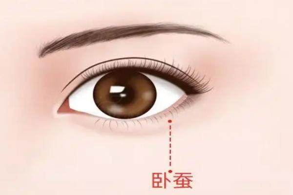 鄭州東方賀煥煥做臥蠶怎么樣