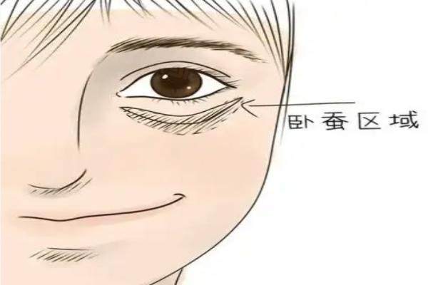 做臥蠶大概需要多少錢