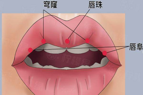 北京蕾士悅?cè)葑龃讲空味嗌馘X